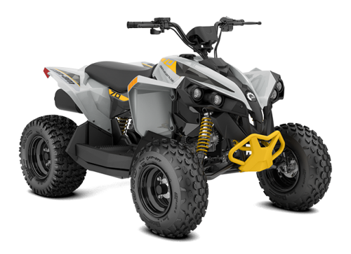 23 canam renegade youth